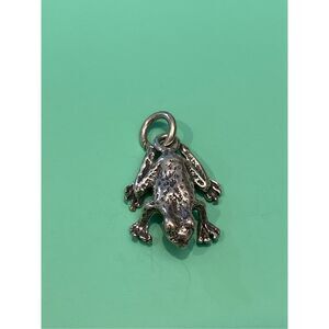 Frog Toad Sterling Silver Jewelry Charm #bugs